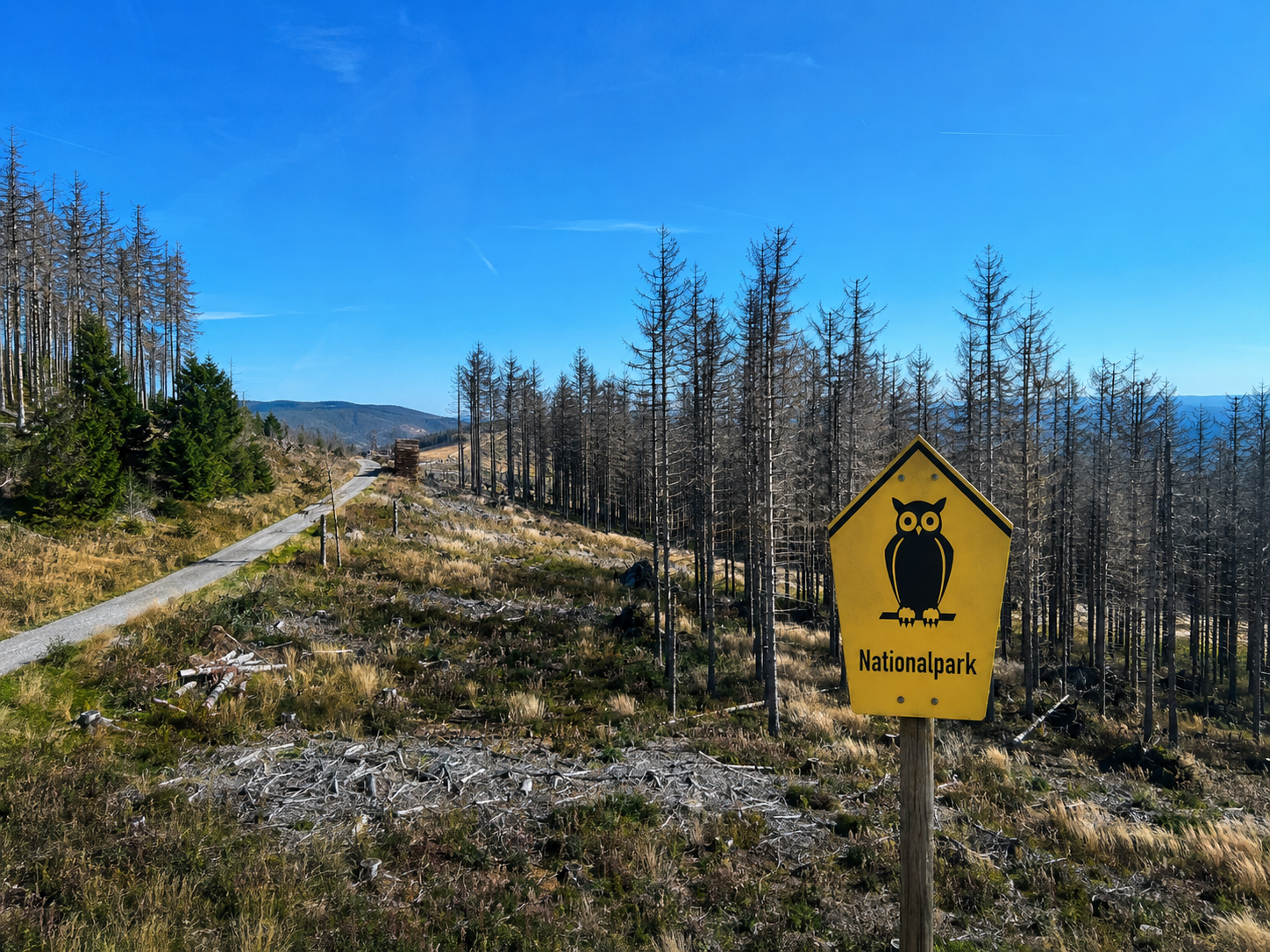 Nationalpark-Schild am Rothaarkamm mit Blick auf Kalamitätsflächen und intakten Nadelwald