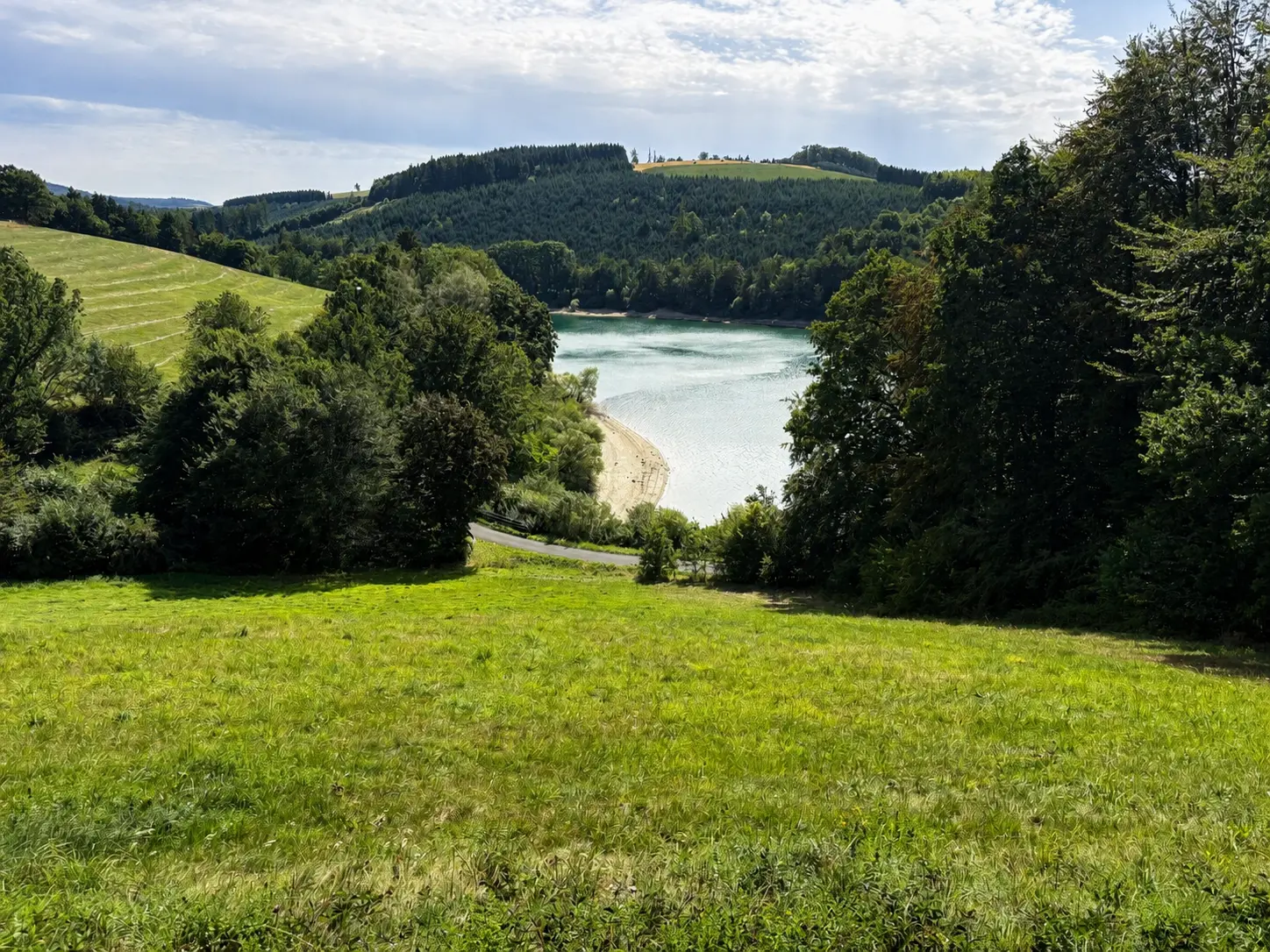 Blick über eine Wiese auf einen Stausee mit bewaldeten Hügeln am Rothaarkamm